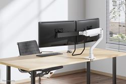 Neomounts desk monitor arm image 16
